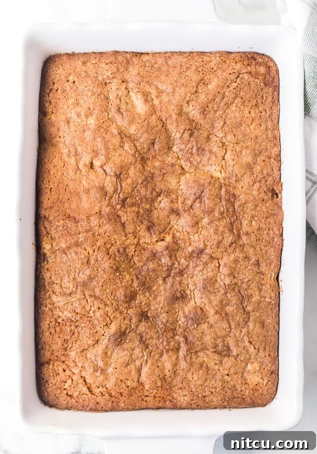 An overhead shot of a freshly baked apple cake in its pan, cooled and ready for frosting.