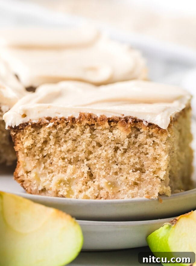 A close-up side view of a slice of Spiced Apple Cake, revealing its moist texture and apple chunks, topped with frosting.