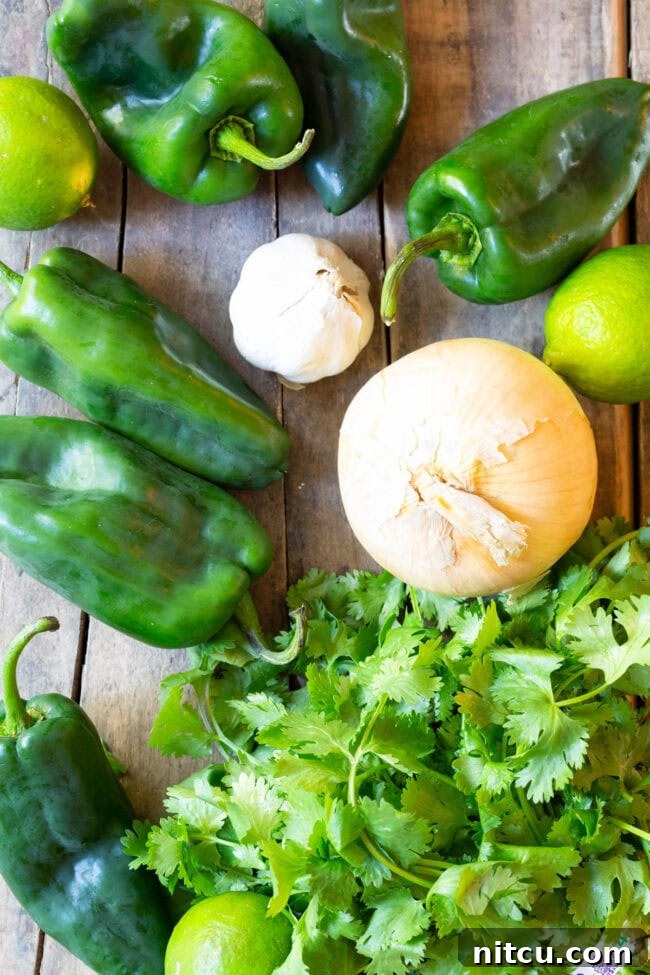 Top down view of recipe ingredients: fresh whole onion, several whole green peppers, bunch of fresh cilantro, garlic head.