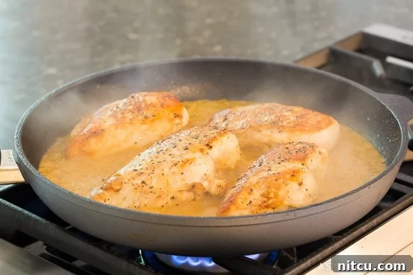 Zesty Garlic Lime Chicken 5 Chicken breast simmering in the rich, vibrant lime-garlic sauce in a skillet.