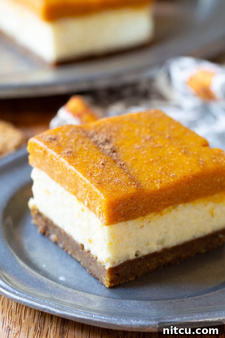 Spiced Pumpkin Cheesecake Squares 10 An appetizing graphic of pumpkin cheesecake bars, with one bar on a stylish grey plate.