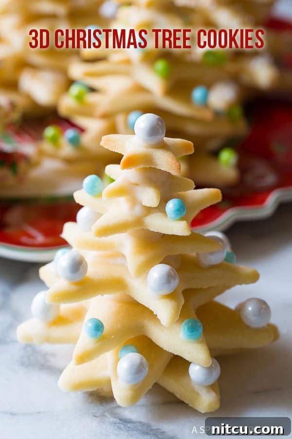 Whimsical 3D Christmas Cookies on ASpicyPerspective that make fantastic edible gifts!