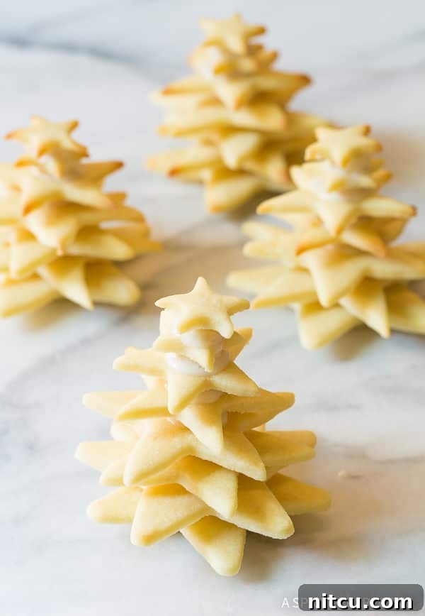 3D Christmas Cookies drying