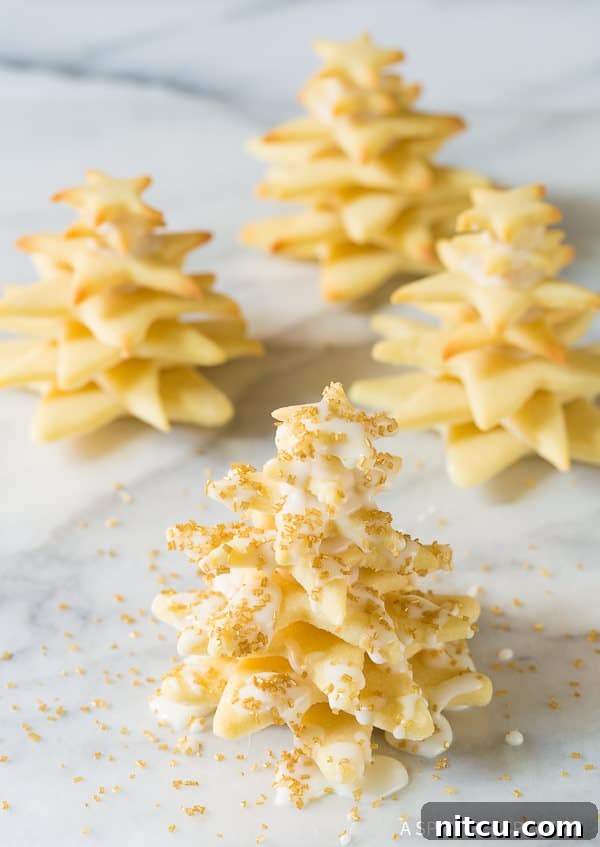 Try these Amazing 3D Christmas Tree Cookies with sprinkles