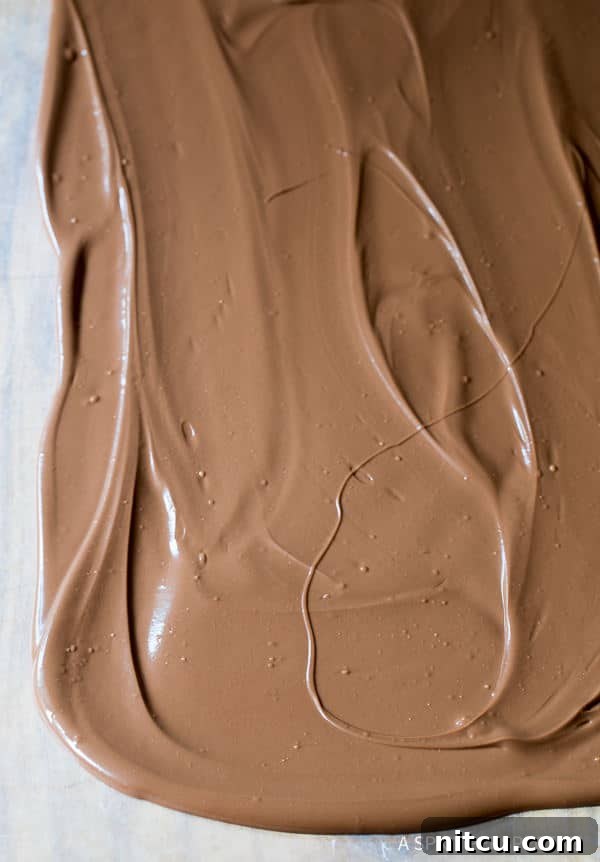 bark-recipe Ingredients for Mint Oreo Chocolate Bark: milk chocolate, Andes Mints, and Mint Oreos.