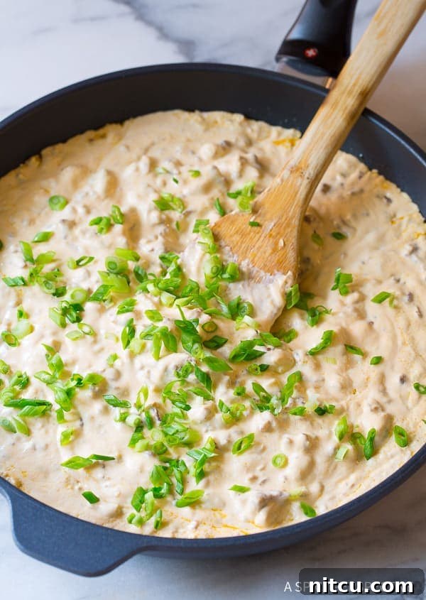 Velvety Sausage Cheese Dip 6 A close-up of the creamy sausage cheese dip in a skillet, beautifully garnished with fresh, vibrant green onions.