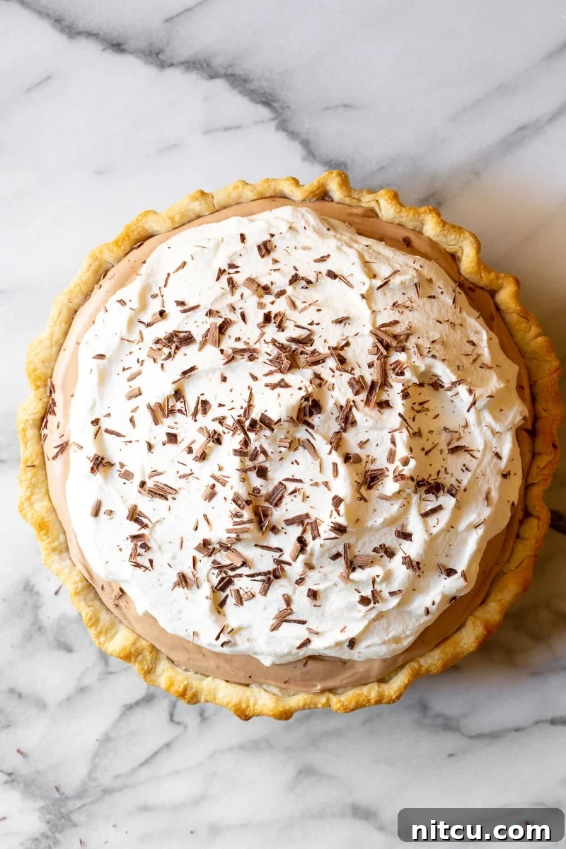 Chocolate Silk Pie #ASpicyPerspective #FrenchSilkPie #SilkPie #FrenchSilkPieRecipe #ChocolateSilkPie #Chocolate #Silky #Fluffy #Pie #Dessert Overhead view of a whole Chocolate Silk Pie adorned with abundant whipped cream swirls and chocolate shavings.