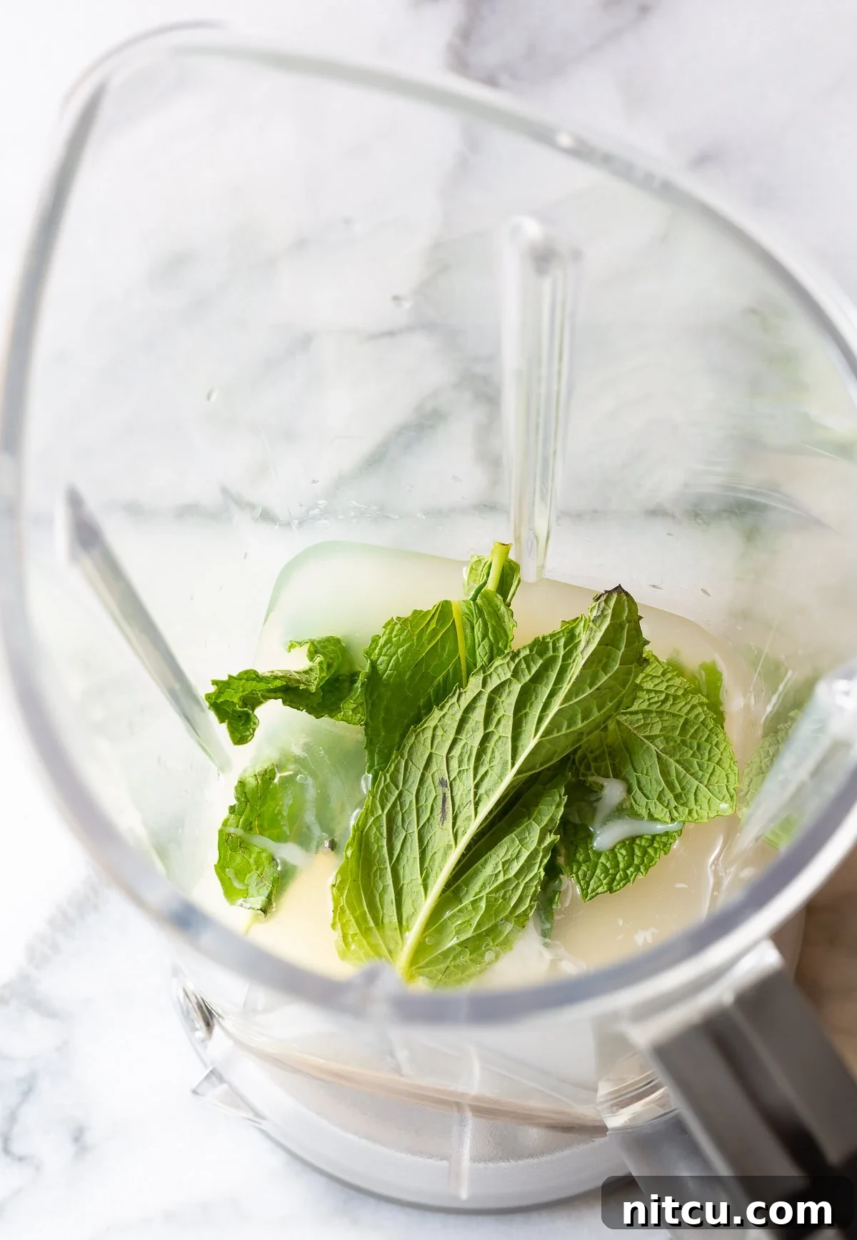 How-To-Make-Frozen-Coconut-Mojito-Recipe Ingredients for a Frozen Coconut Mojito being blended in a high-speed blender