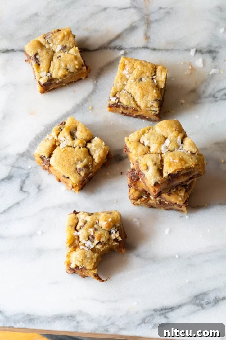 Overhead shot of cookie bars with flaky sea salt on top.