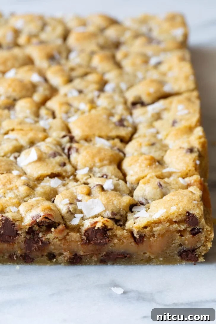 Salted Caramel chocolate chip cookie bars after being baked but before being cut into bars. 