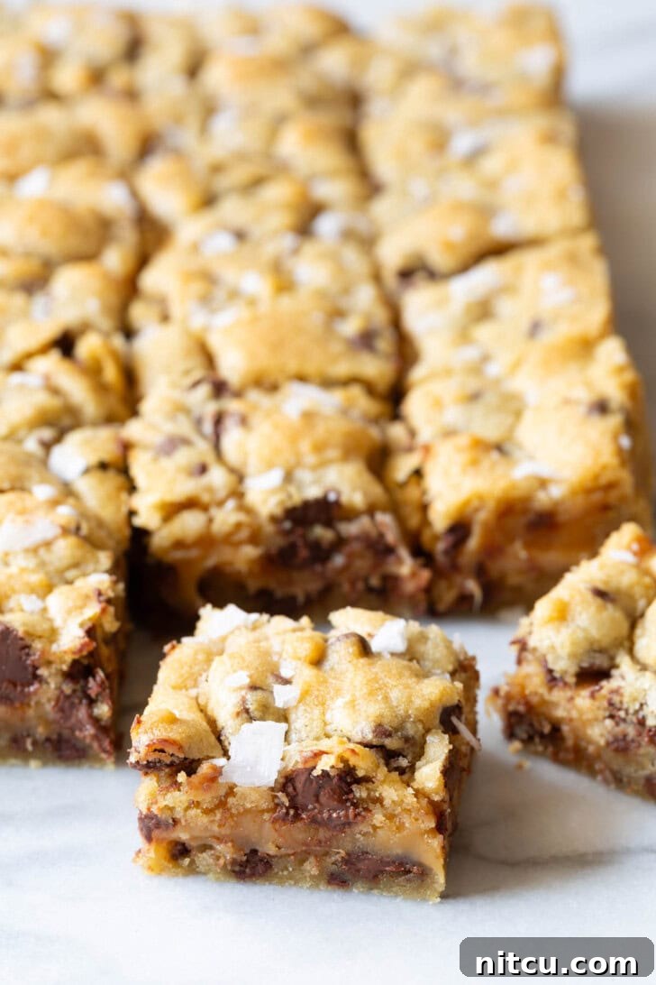 Cookie bar with more bars in the background.