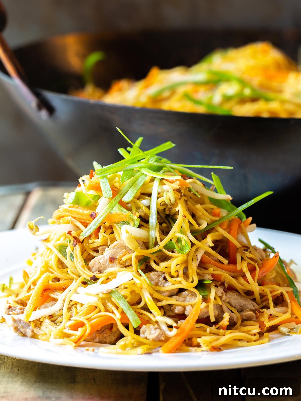 Savory Cantonese Pork Noodles 2 A large, steaming plate of savory Pork Lo Mein, brimming with noodles, pork, and vibrant vegetables, ready to be enjoyed.