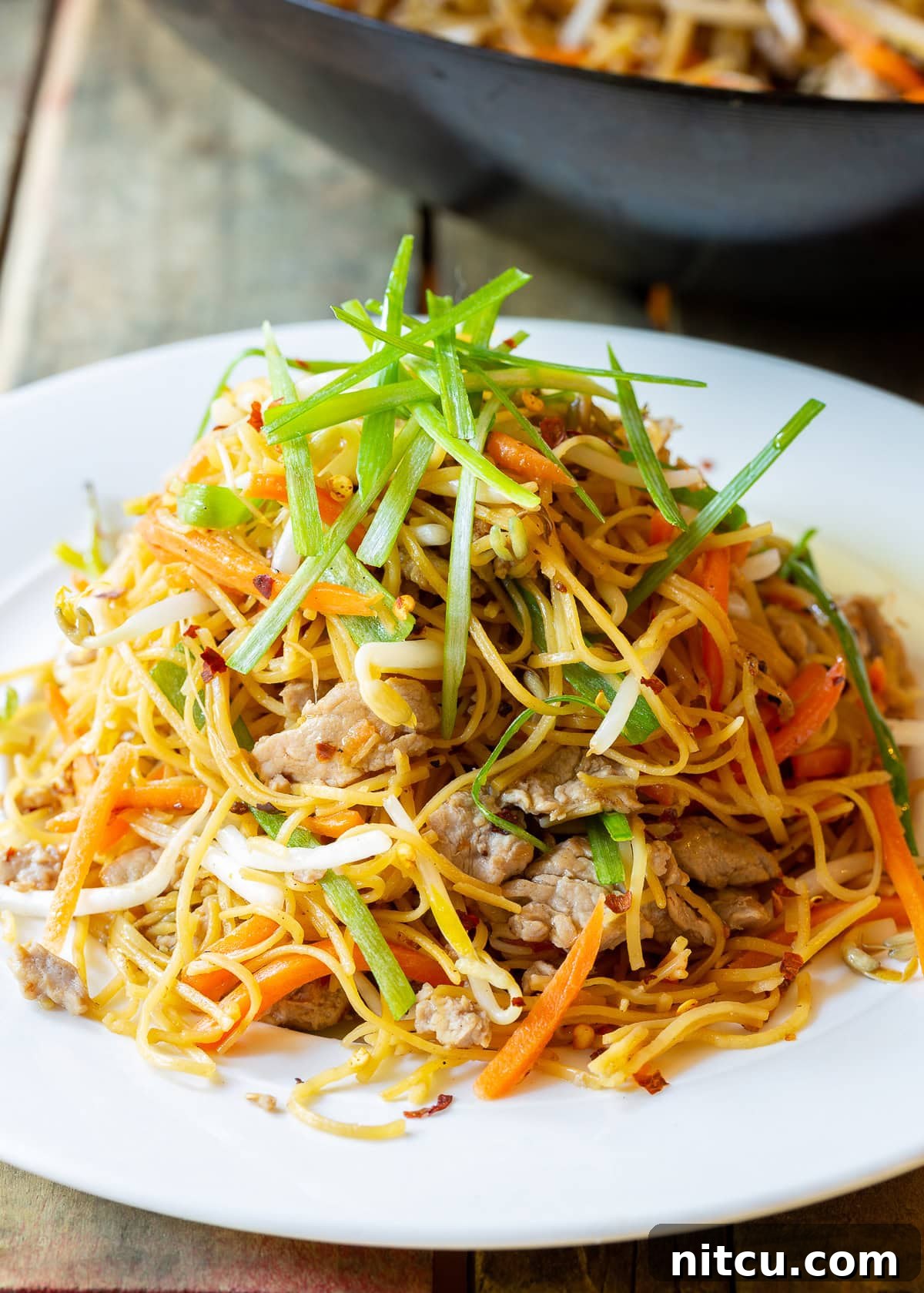 Savory Cantonese Pork Noodles 8 A generous serving of fresh Pork Lo Mein, piled high on a white plate, showcasing its appealing colors and textures.