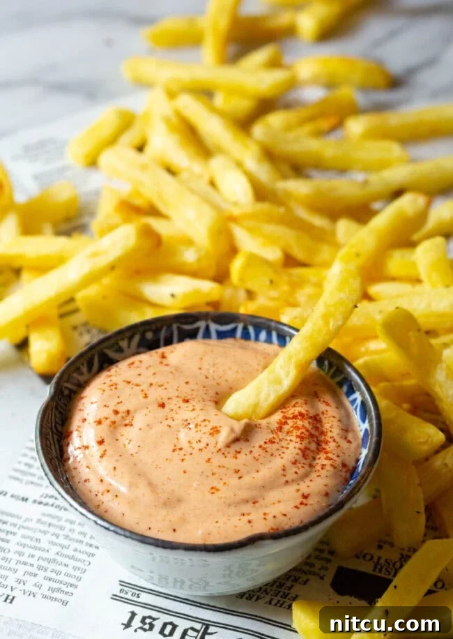 The Encore Sauce 2 Crispy golden french fries arranged around a small bowl of rich, orange-hued Southern Comeback Sauce, with one fry mid-dip.