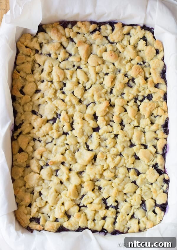 A baking dish filled with golden-brown blueberry bars, glistening with a fresh-out-of-the-oven appeal.