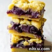 Fresh Gooey Blueberry Bars | ASpicyPerspective.com