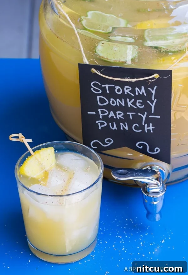Mule Kick Monsoon Brew 2 Stormy Donkey Party Punch: A refreshing large batch cocktail, perfect for summer and fall parties. Features rum, vodka, ginger beer, and tropical flavors.