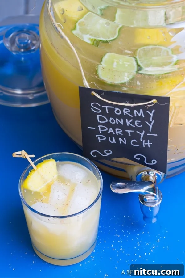 Mule Kick Monsoon Brew 8 Close-up of Stormy Donkey Party Punch with lime and ginger garnishes in a glass, ready to be served.