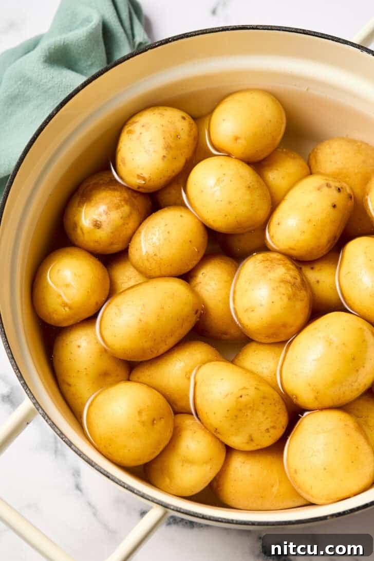 Tangy Warm German Potato Salad 5 boiled potatoes in pot