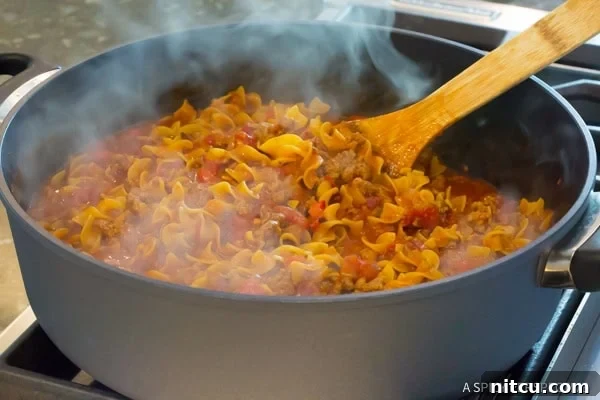 Easy Skillet Sloppy Joe Noodle Dinner 11 Step 6: Topping One-Pot Sloppy Joe Noodle Skillet with cheese