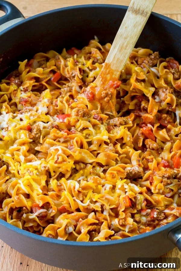 Easy Skillet Sloppy Joe Noodle Dinner 4 Cozy One-Pot Sloppy Joe Noodle Skillet - Gluten Free Option Available