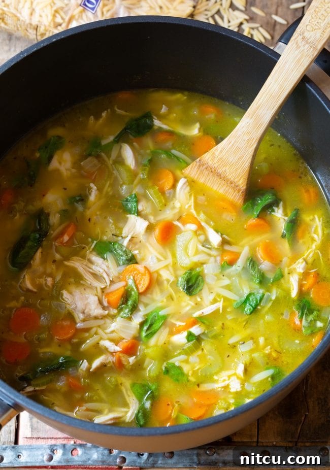 A large pot of Italian chicken orzo soup, garnished with fresh basil and a wooden spoon inside.