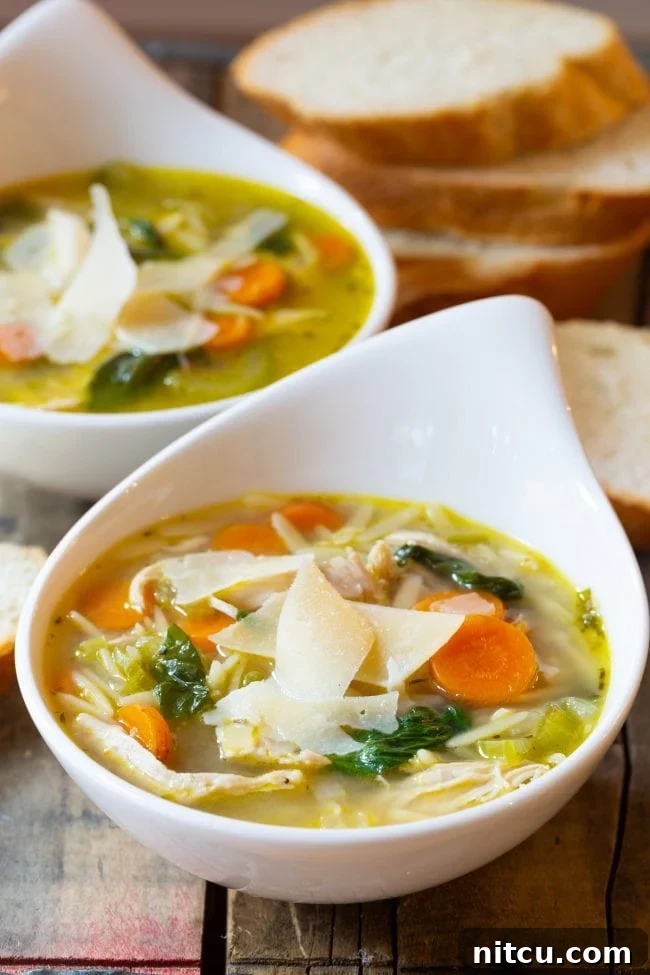 Two white bowls, shaped like giant soup spoons, filled with Italian chicken orzo soup.