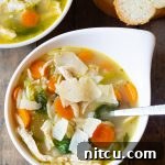 Italian chicken orzo soup