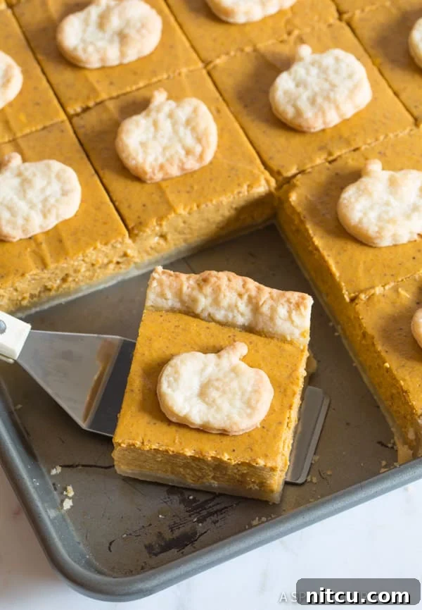 Pumpkin Pie Recipe #ASpicyPerspective Delicious Pumpkin Pie Bars, perfectly cut into pieces in a sheet pan, ready to be served at a holiday gathering.