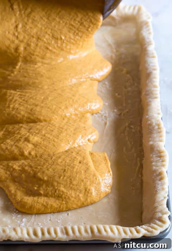 Pumpkin Pie Ingredients #ASpicyPerspective Ingredients for Pumpkin Pie Bars - filling in pan before baking, showing its rich, smooth texture.