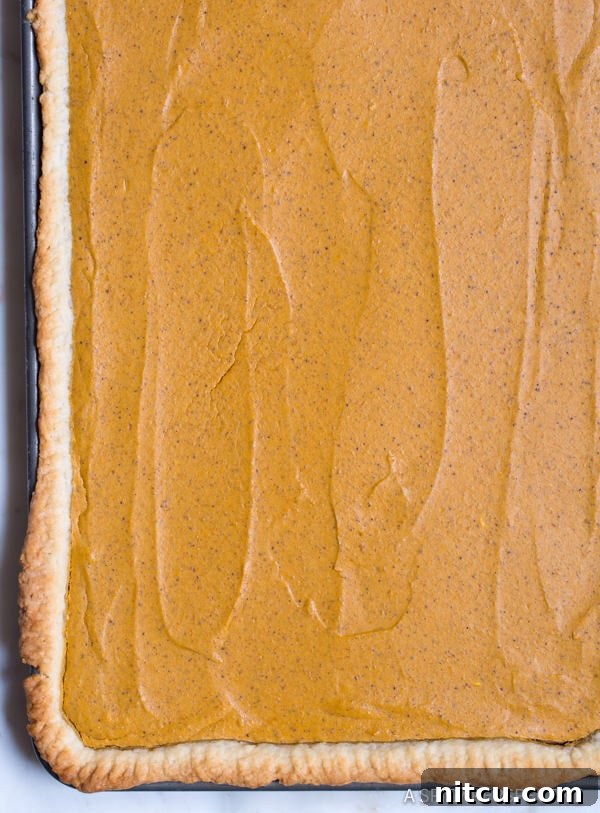 Pumpkin Pie Ingredients #ASpicyPerspective Pumpkin Slab Pie fresh out of the oven, golden crust and perfectly set filling.