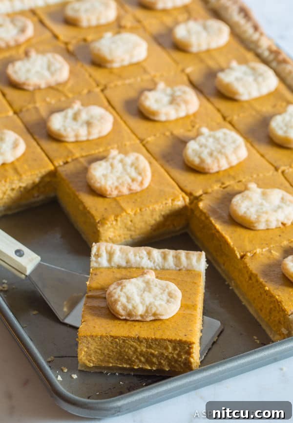 Slab Pie #ASpicyPerspective Close up of a perfectly cut Pumpkin Pie Bar, showing the silky smooth filling and flaky crust, adorned with a small crust topper.
