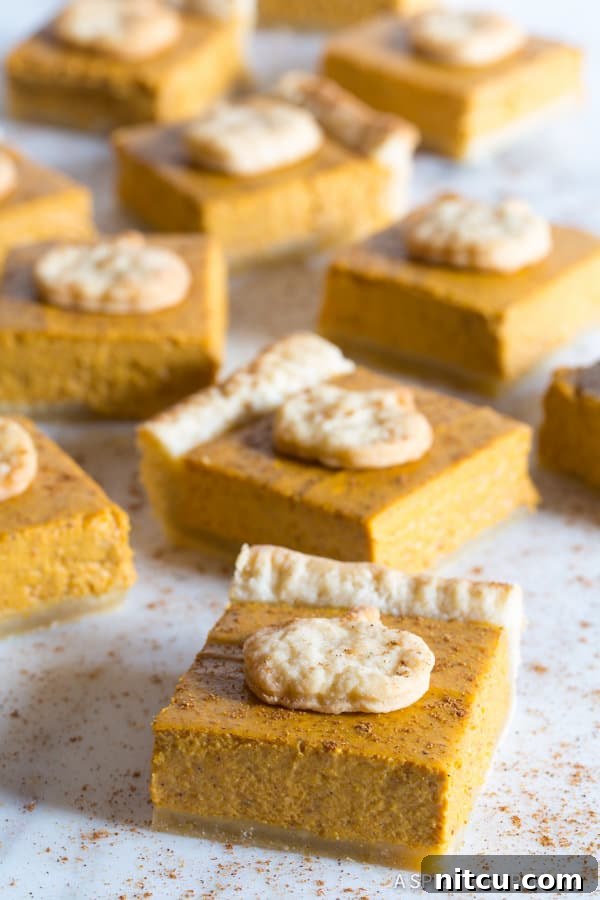 Slab Pie #ASpicyPerspective Pumpkin Pie Bars Recipe - showing side of silky pumpkin filling