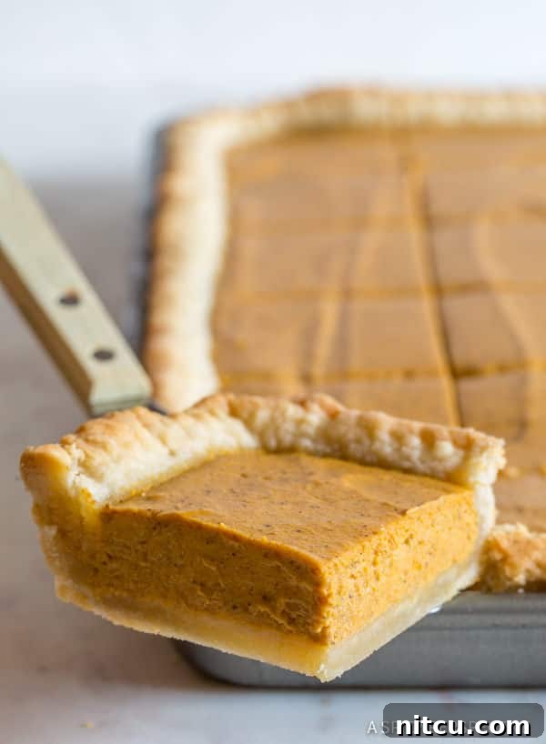 Ultimate Autumn Pumpkin Slab 2 Amazing Secret Ingredient Perfect Pumpkin Slab Pie Recipe lifted out of pan, showcasing its beautiful texture and golden crust.