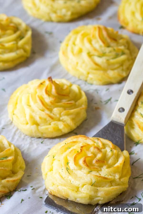 Perfect Duchess Potatoes 3 Best Dutchess Potatoes Recipe on spatula