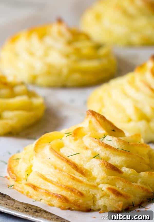 Perfect Duchess Potatoes 8 Easy Duchess Potatoes Recipe - golden crispy potatoes close up