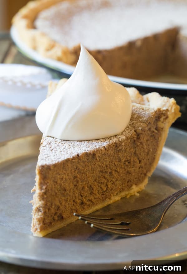 Slice of cinnamon pie with a dollop of whipped cream on top. (Psych Cinnamon Pie Recipe)