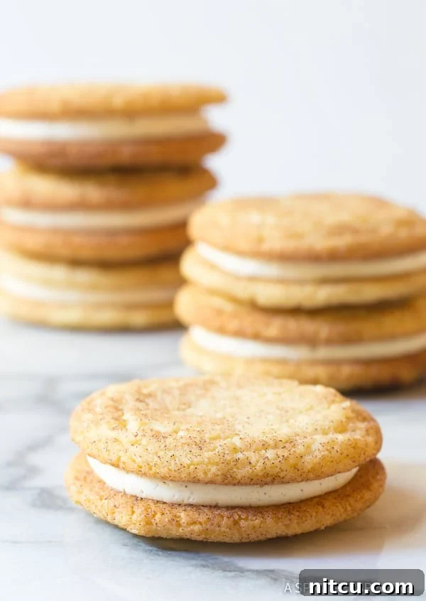 Whoopie Pie Snickerdoodle Sandwich Cookies made with Snickerdoodle Cookies - close up shot