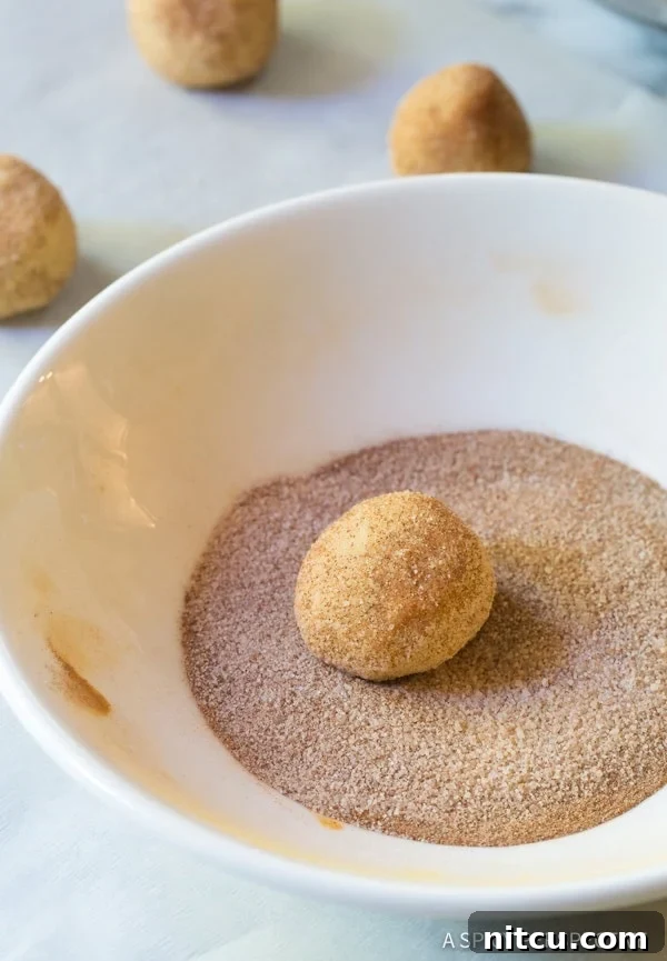 whoopie pie recipe Snickerdoodle Cookie dough balls rolled in cinnamon sugar