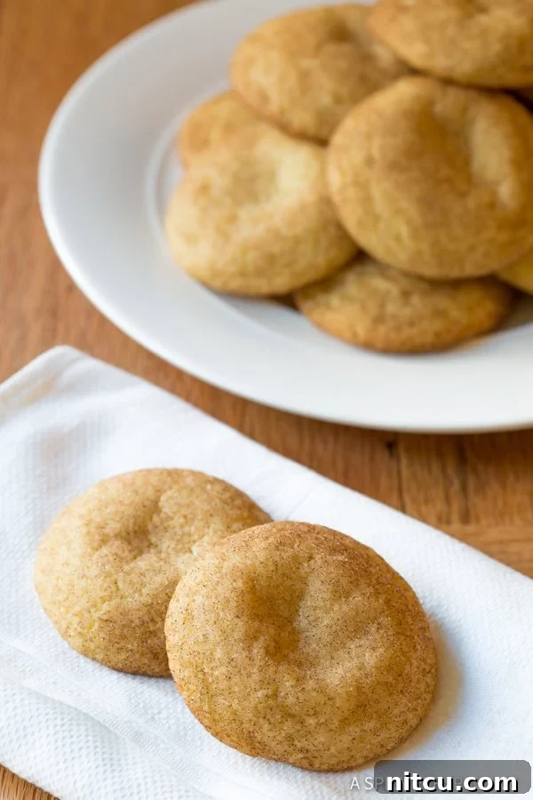 Spiced Snickerdoodle Stacks 2 Best Snickerdoodle Cookies on napkin