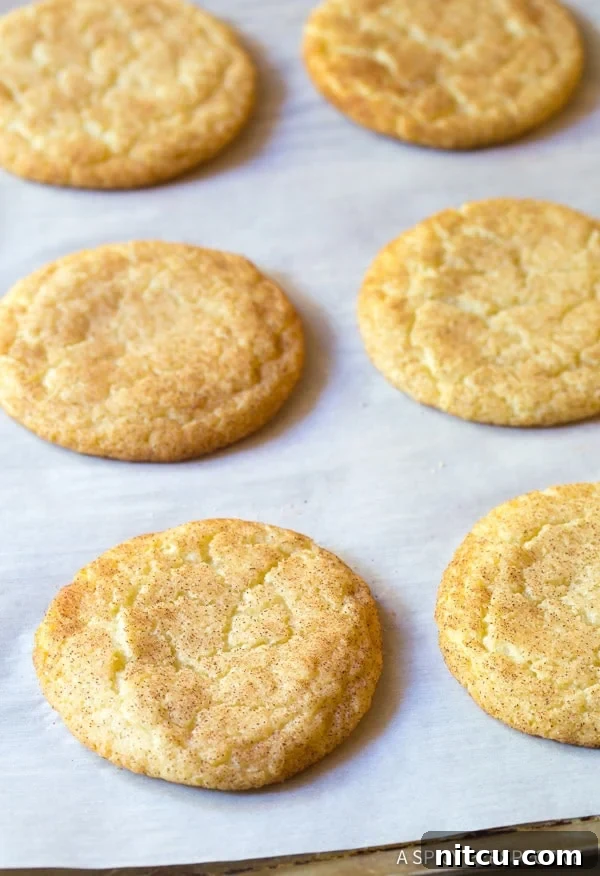 sandwich cookies Best Snickerdoodle Sandwich Cookie Recipe #ASpicyPerspective #snickerdoodle #cookies #holiday #christmas #whoopiepie