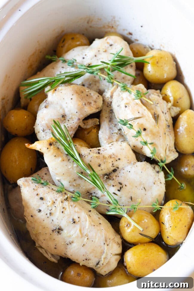 Tender Garlic Butter Slow Cooker Chicken and Potatoes 2 A slow cooker filled with tender garlic butter chicken and small golden potatoes, garnished with fresh herbs, ready to serve.