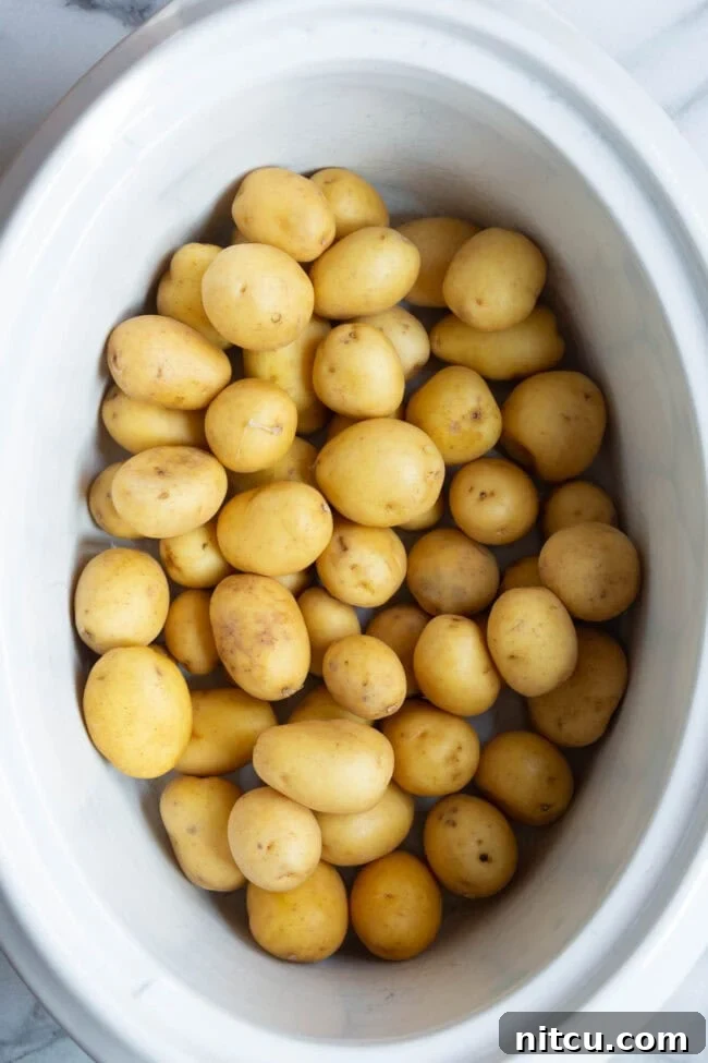 Tender Garlic Butter Slow Cooker Chicken and Potatoes 3 Uncooked mini Yukon Gold potatoes resting at the bottom of a white slow cooker crock, ready for the initial cooking phase.
