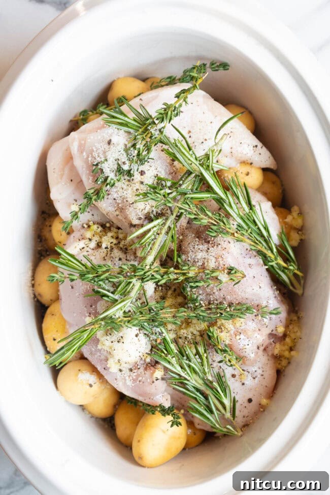 Tender Garlic Butter Slow Cooker Chicken and Potatoes 5 Raw garlic butter chicken and potatoes arranged in a crockpot with fresh sprigs of thyme and rosemary laid over the top before cooking.