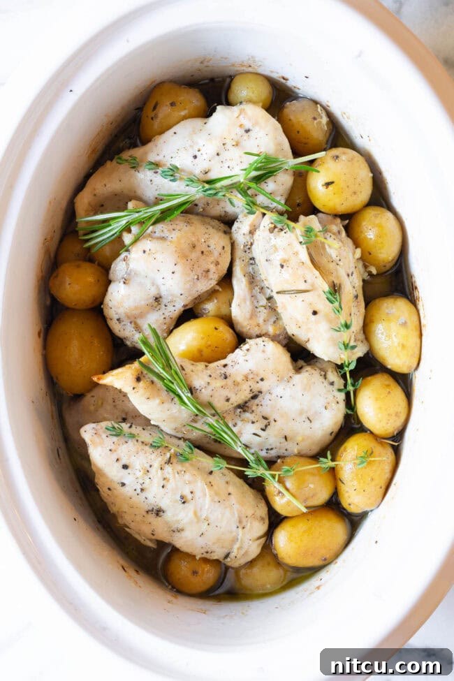 Tender Garlic Butter Slow Cooker Chicken and Potatoes 6 Garlic butter chicken and potatoes served fresh from the crockpot, glistening with sauce and topped with fresh herbs.