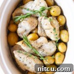 Slow cooker garlic butter chicken is a great top 20 recipes under $20.