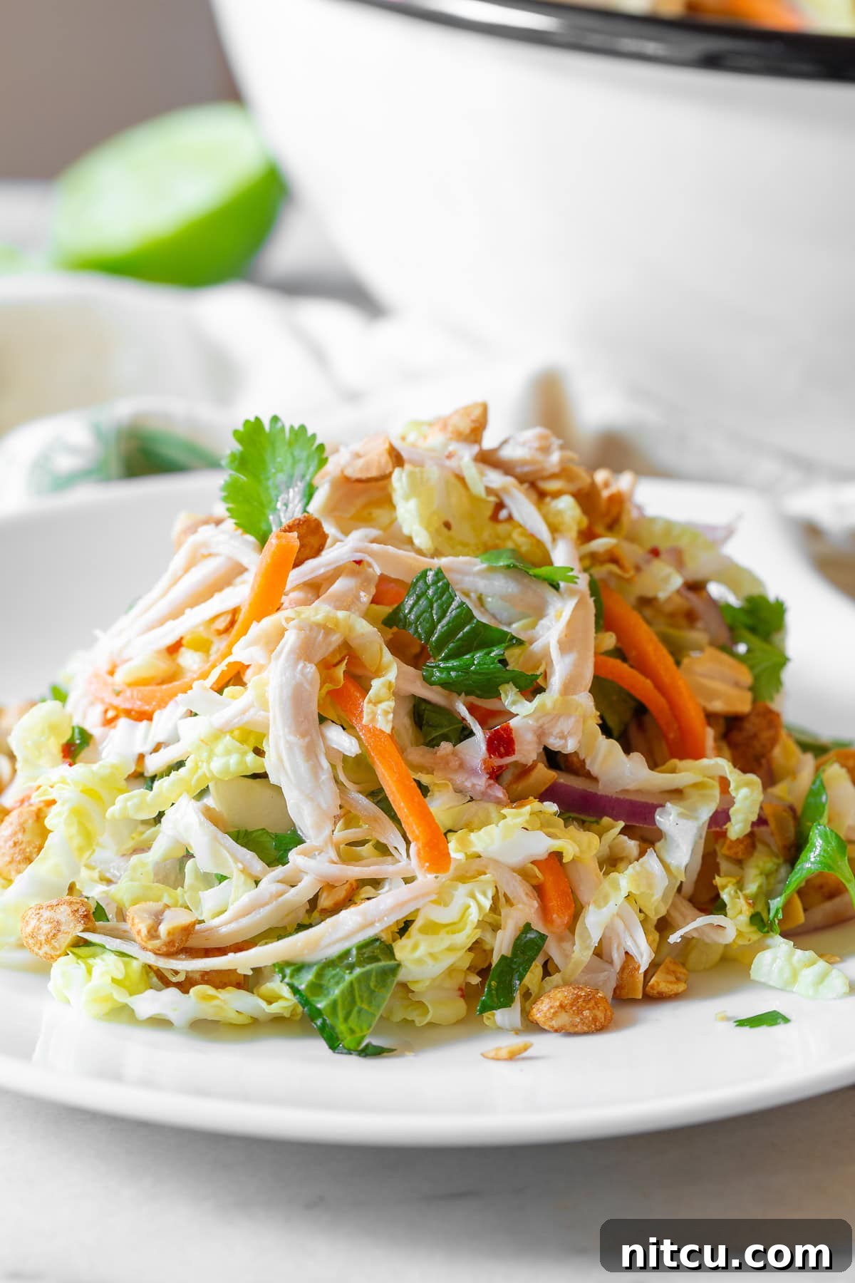 A beautifully plated portion of Goi Ga Vietnamese Chicken Salad, ready to be enjoyed, showcasing the vibrant colors and appealing textures of the dish.