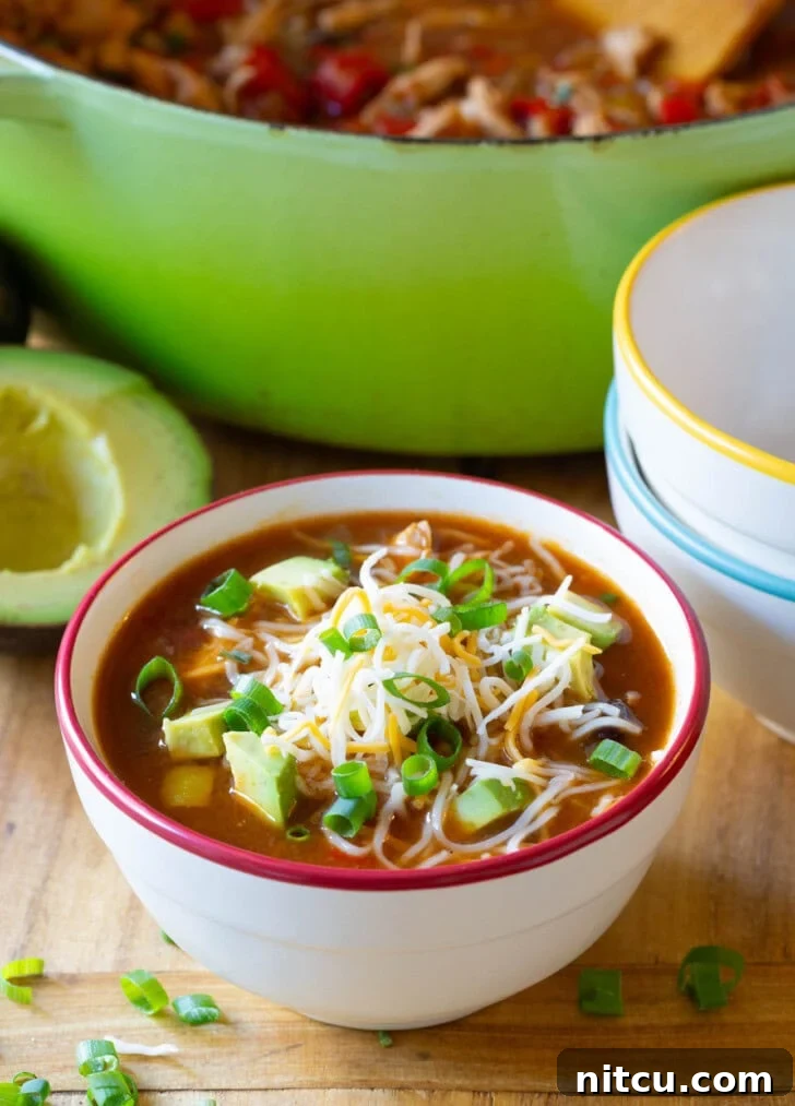 Chicken Fajita Soup with Toppings Fajita soup in a bowl with generous toppings: shredded cheese, vibrant sliced scallions, and perfectly diced avocado.