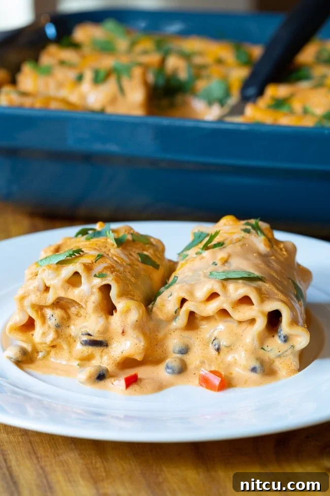 Spicy Southwest Chicken Lasagna Spirals 2 Two southwest lasagna roll ups on a white plate, garnished with fresh cilantro.