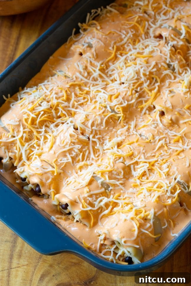 Spicy Southwest Chicken Lasagna Spirals 8 Rolled lasagna noodles filled with Southwest chicken mixture, arranged in a baking dish.